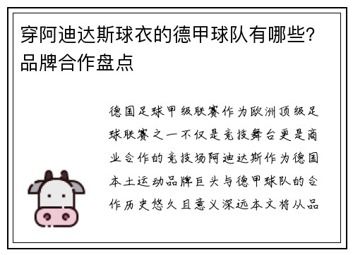 穿阿迪达斯球衣的德甲球队有哪些？品牌合作盘点